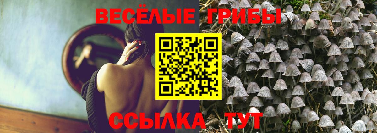 Щёлково  Галлюциногенные грибы прущие грибы  Вход с VPN 