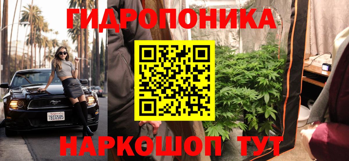 Шишки марихуана конопля  Канабис Bruce Banner  Щёлково  Вход с VPN 